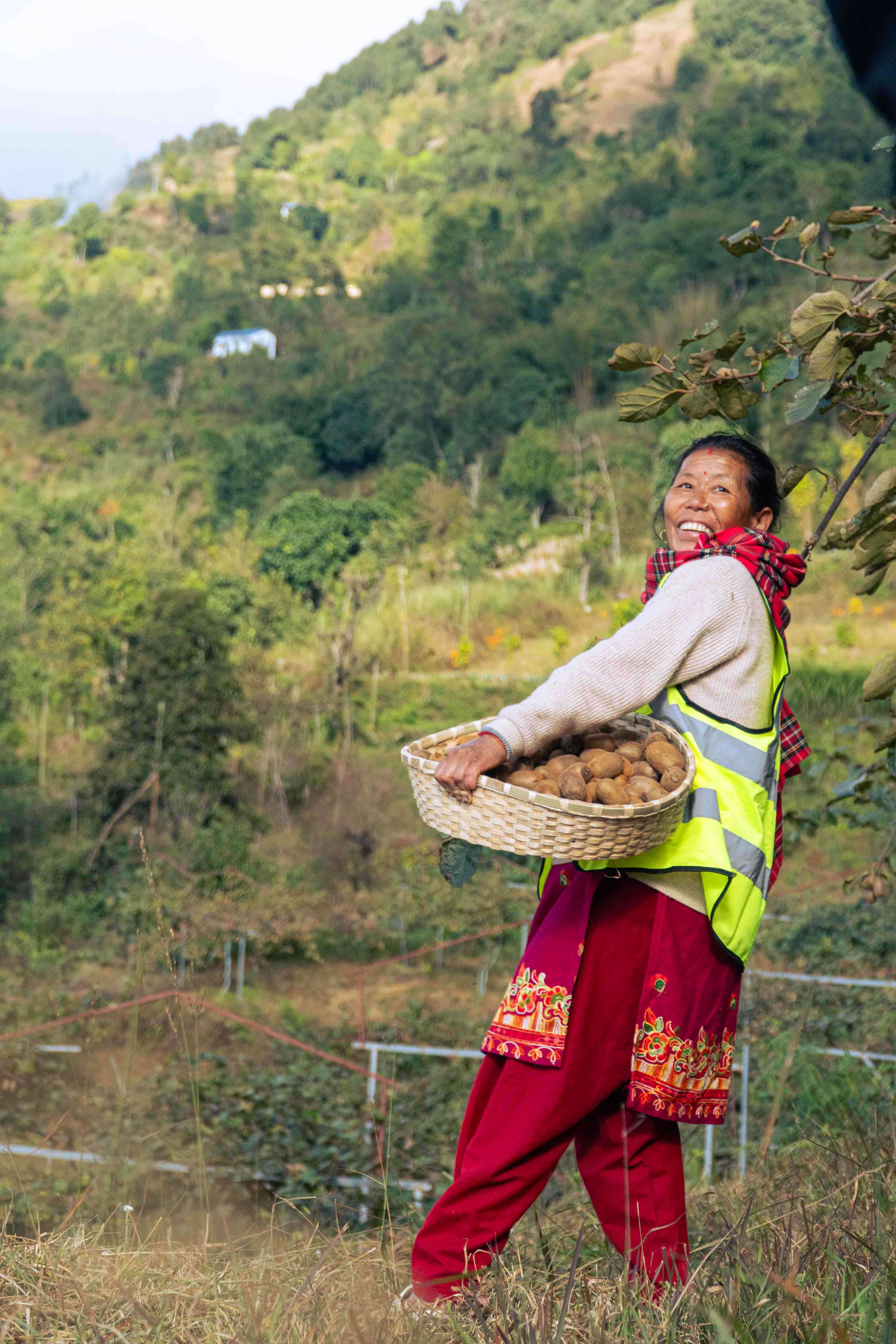 Farmers working in the fields